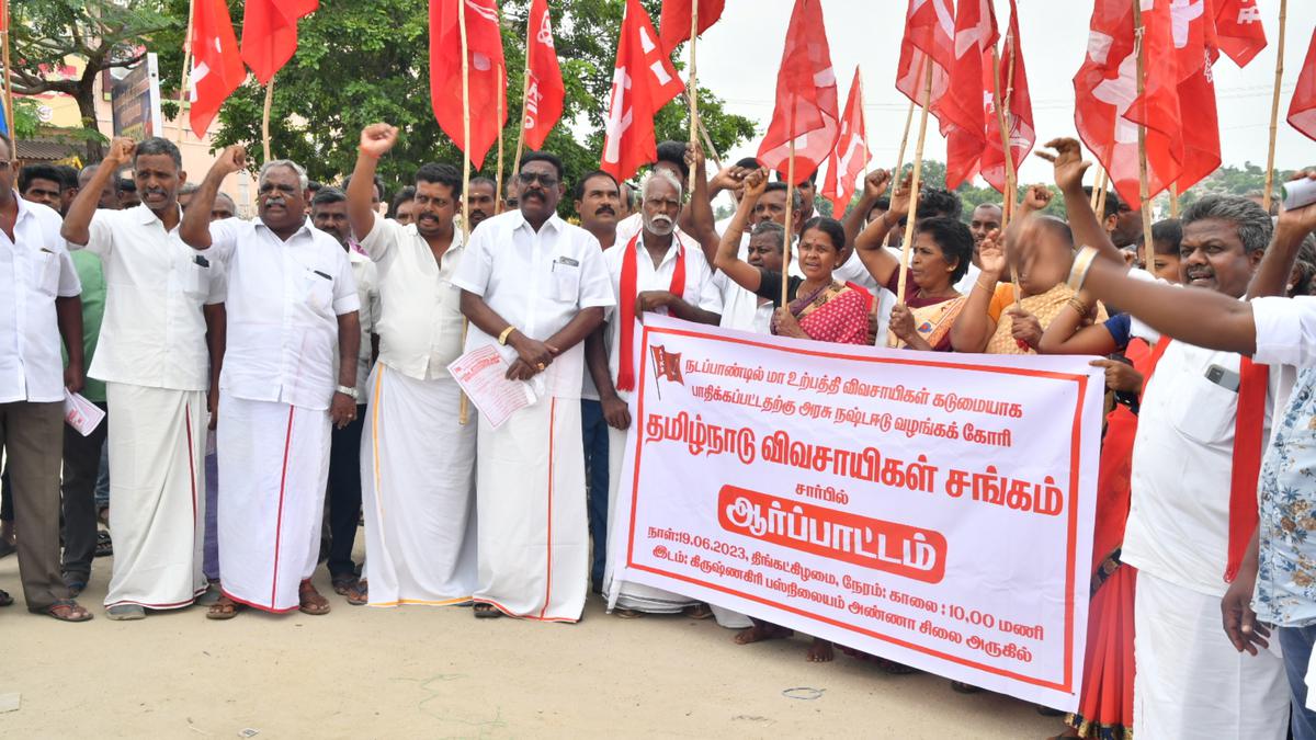 Association demands compensation for mango farmers in Krishnagiri