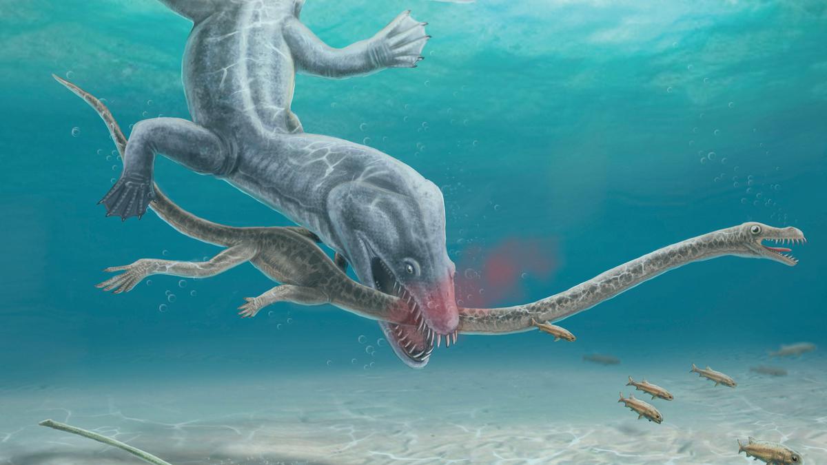 Fossils Show Ancient Long-Necked Sea Beasts’ Gruesome Decapitation