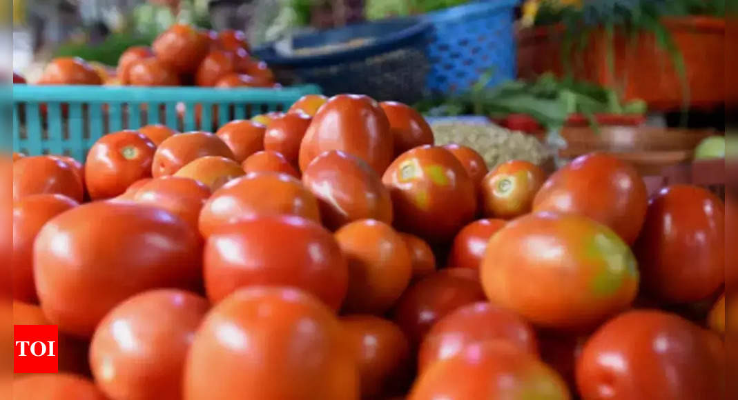 Households in Karnataka See 200% Increase in Tomato Prices