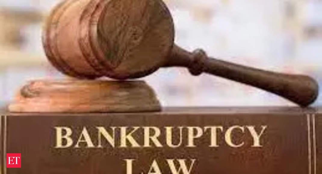 IBBI Prepares List of 400 Insolvency Professionals for Easy Pickings