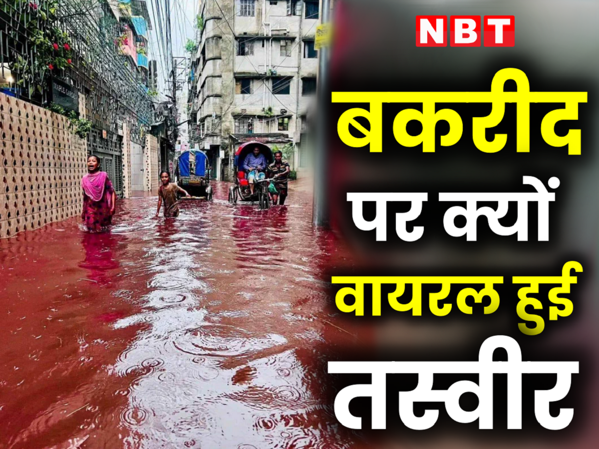 Dhaka Street Photo Flooded with Blood with Rainwater: Shocking Visuals on Eid al-Adha