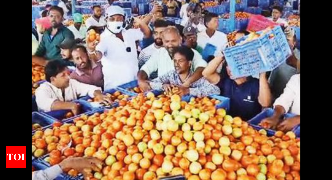 Tomatoes from Kolar Travel to Most North Indian States Round the Year