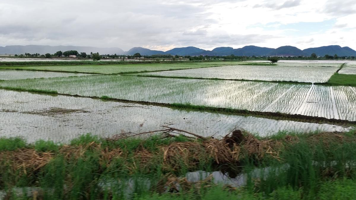 AP CM Jagan to review relief operations in flood-hit areas soon