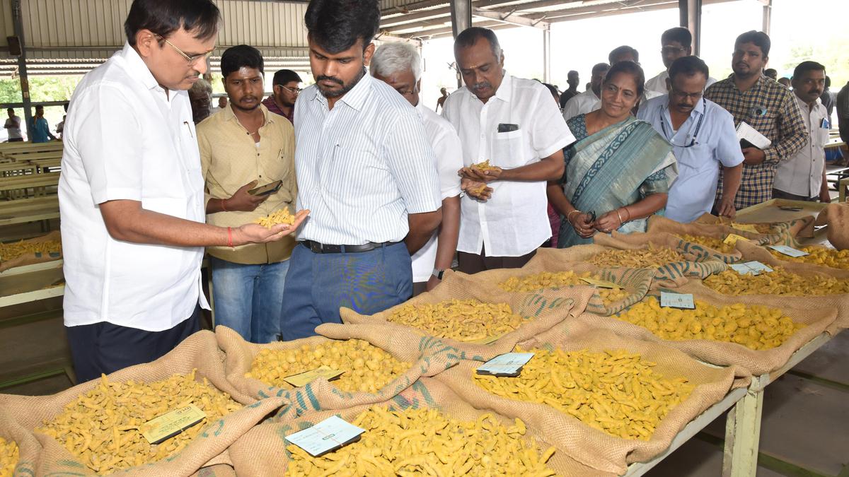 Collector inspects turmeric regulated markets in Erode