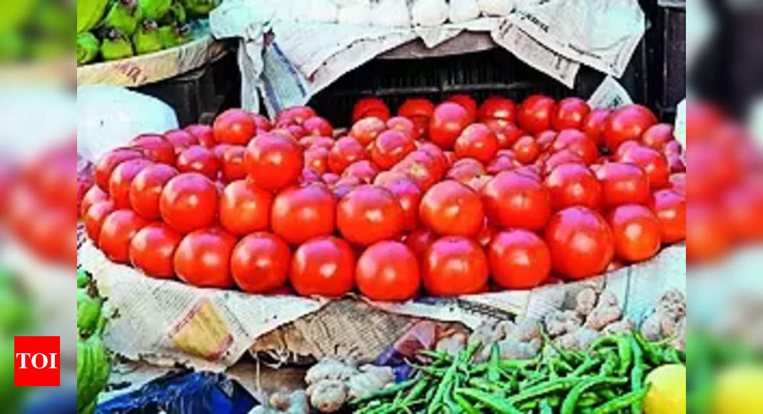 Tomato prices in India fall below Rs 100 per kg