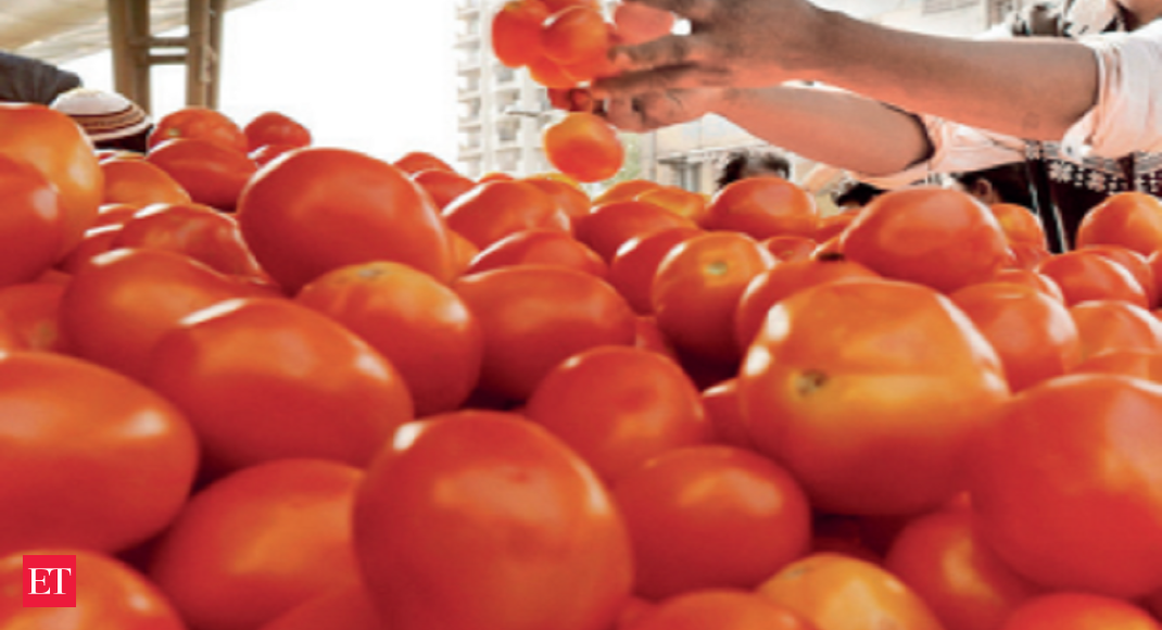 Tomato Prices Come Down with Fresh Arrival in Retail Markets