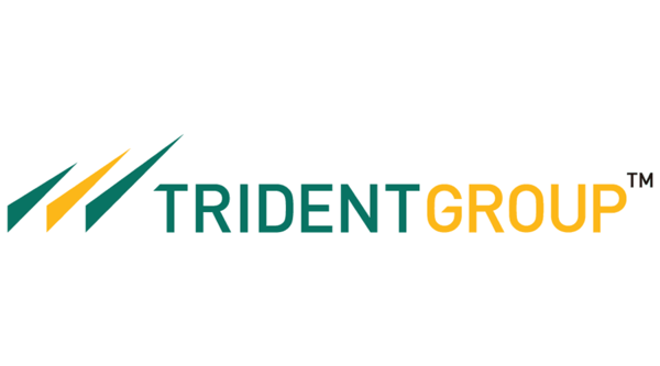 Trident Ltd Stock Live Updates: Impressive Trading Volume and Gains