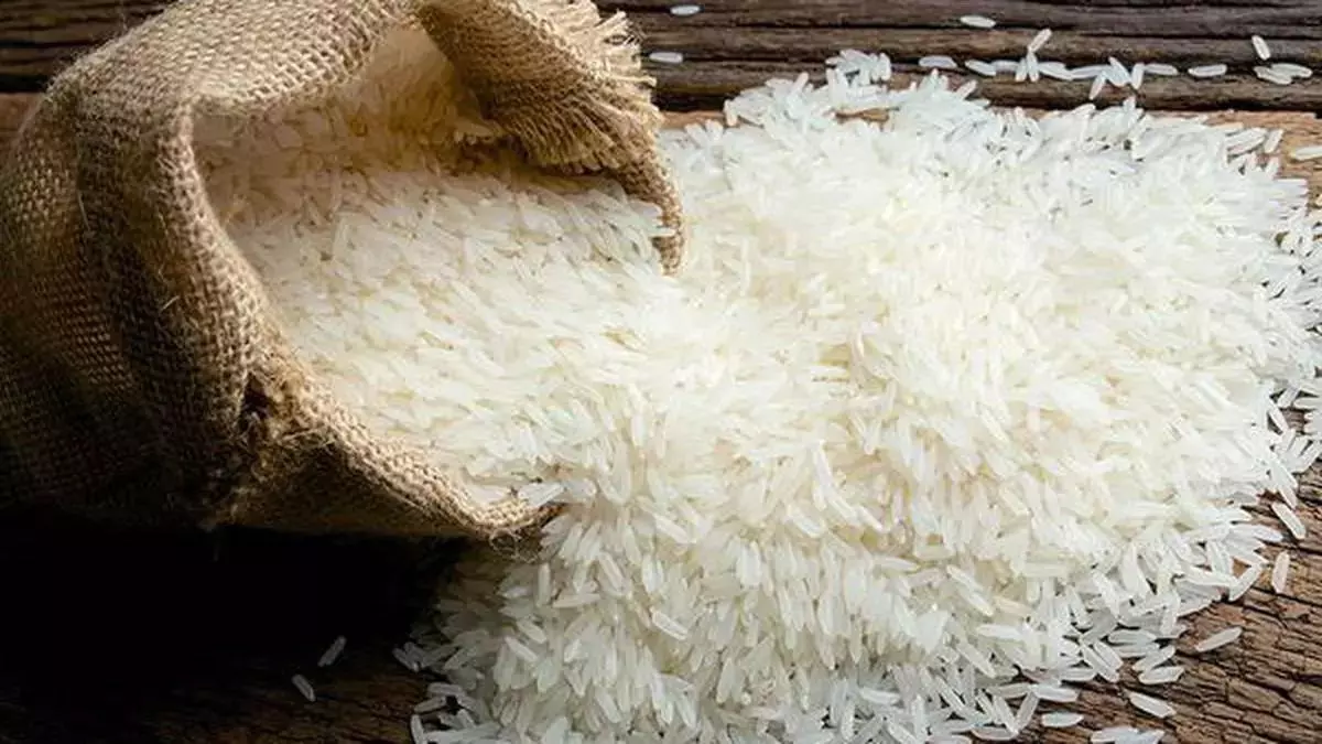 Indian Government Imposes 20% Export Duty on Parboiled Rice