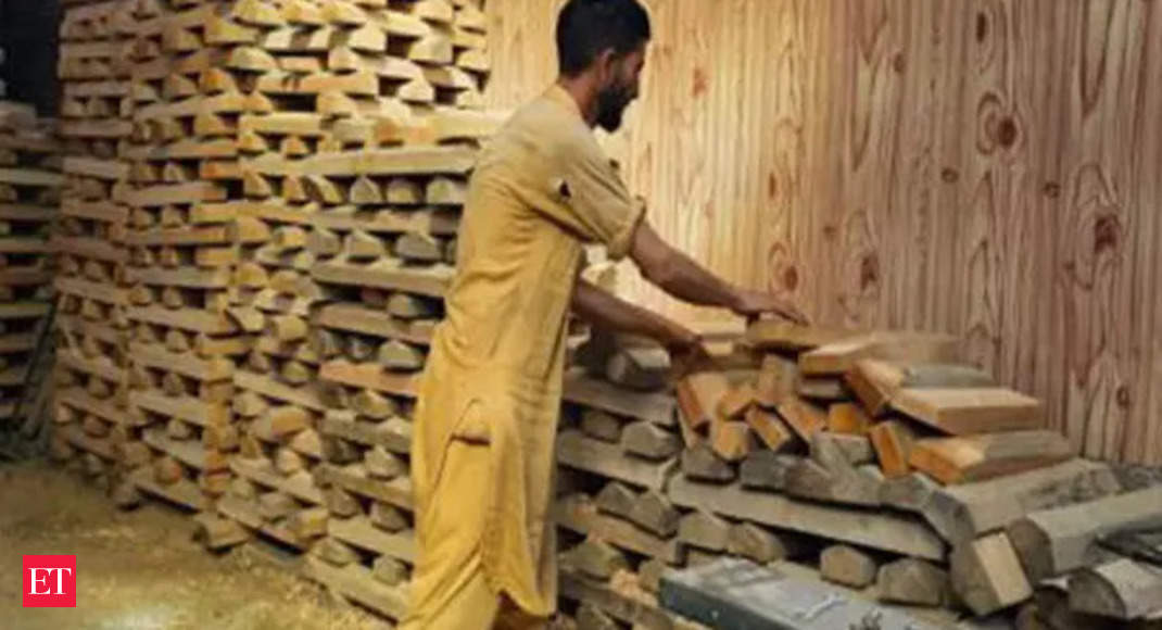 Kashmir Willow Bats to be Used During ODI World Cup in India