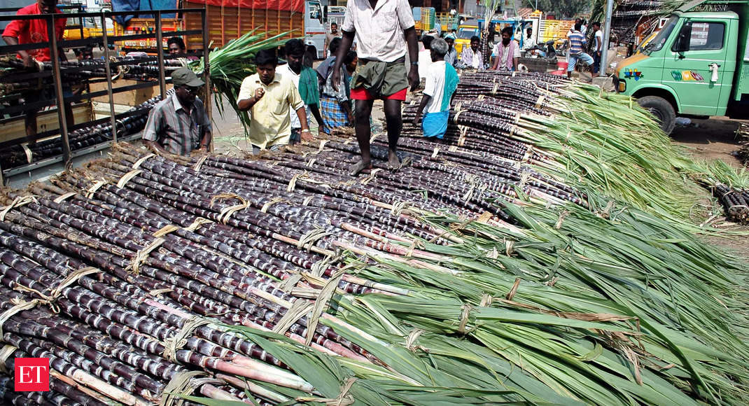 Maharashtra Imposes Curbs on Sugarcane Supply to Other States