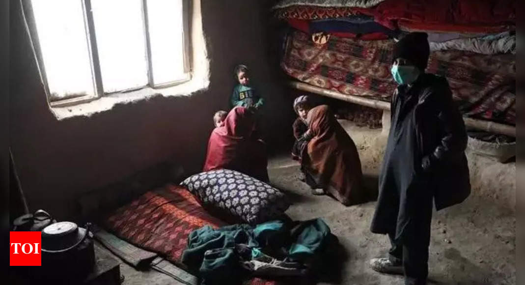 41 Million People in Afghanistan Face Severe Acute Food Insecurity: World Food Programme