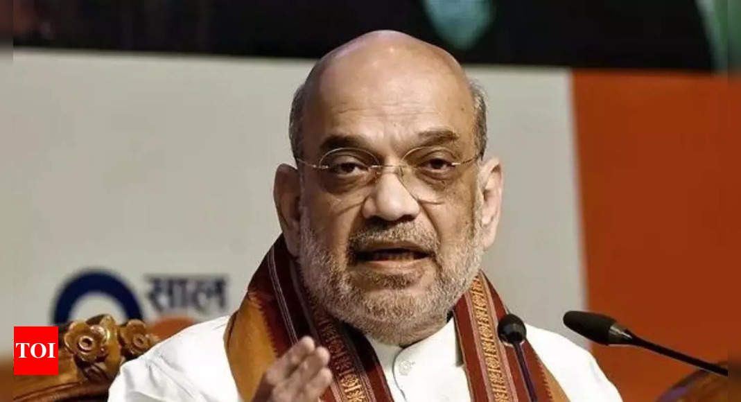 Anti-Drone System to be Deployed Along International Border, Says Home Minister Amit Shah