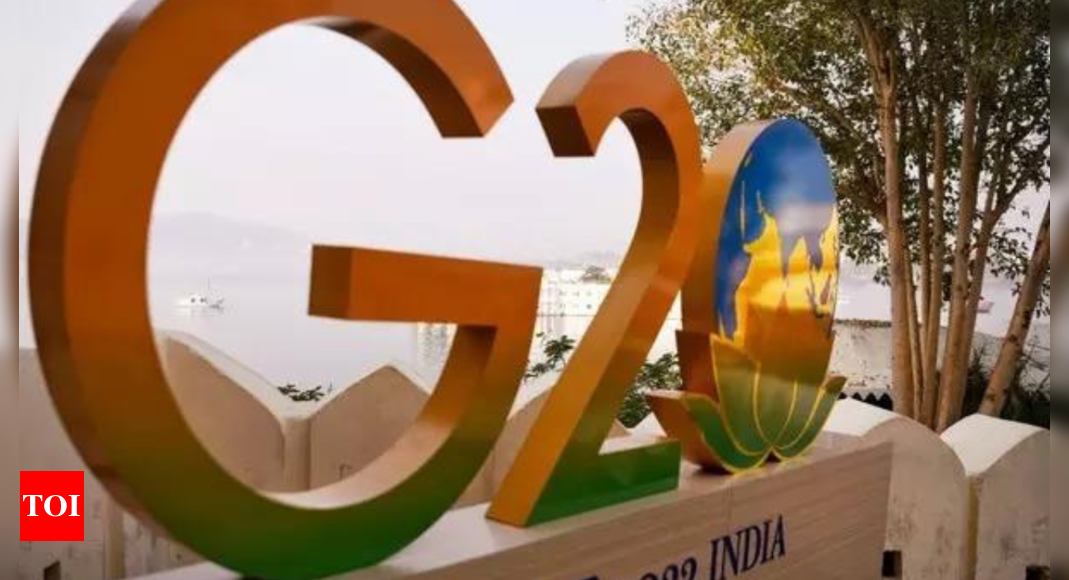 India’s G20 Presidency Saw Participation of 1.5 Crore Citizens: Government