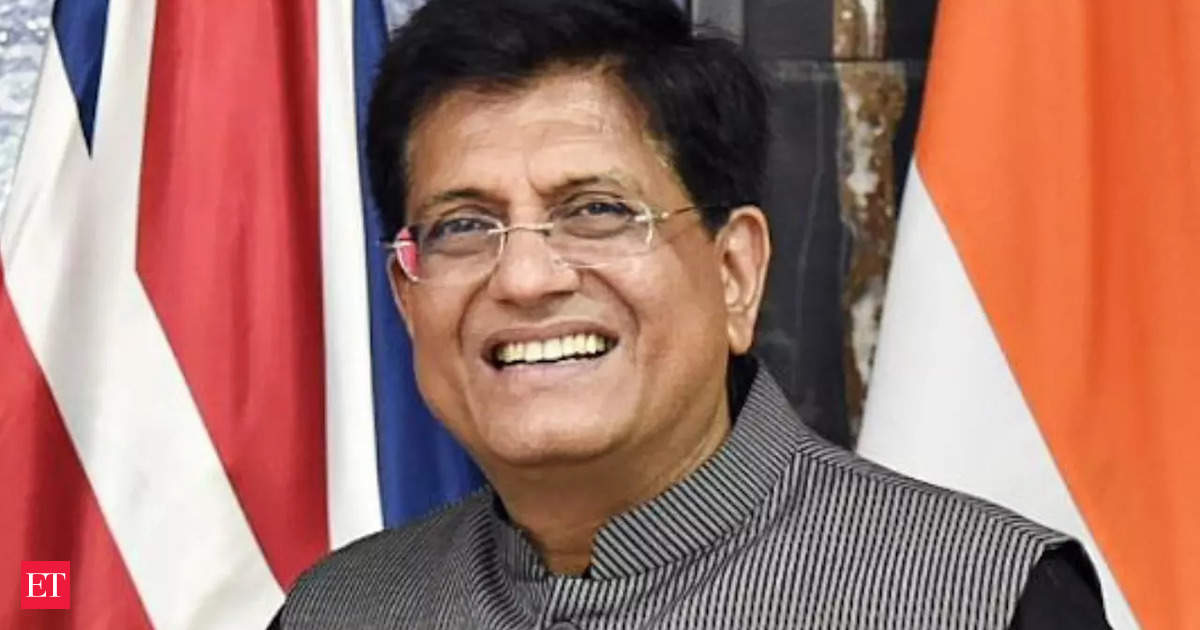 India Could Be Global Manufacturing Hub for Gems and Jewelry: Piyush Goyal