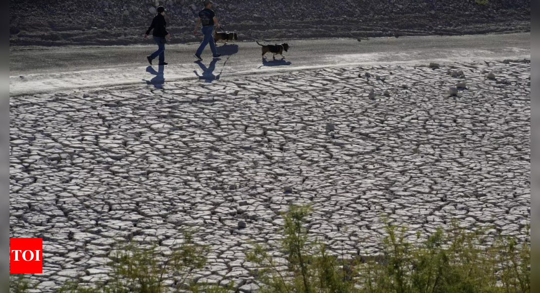 India and Japan to Launch $600 Million Climate Fund