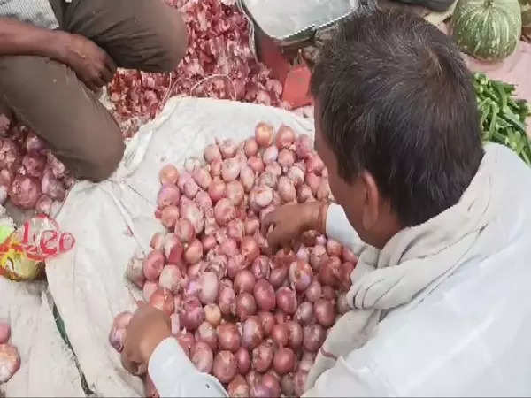 Government Imposes Minimum Export Price for Onions to Stabilize Prices