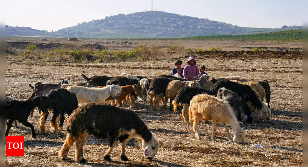 Bodies of Lebanese shepherds shot at by Israeli forces found: Report