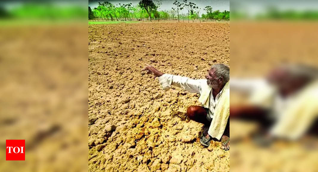 Subdued Northeast Monsoon: Double Whammy for Farmers in Bengaluru