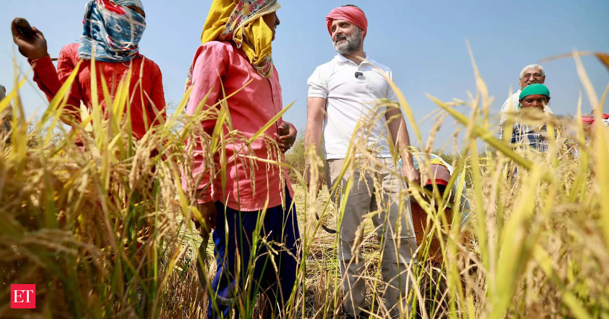 Rahul Gandhi Promises Loan Waiver and Benefits for Farmers in Chhattisgarh