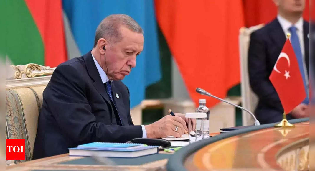 Turkey’s Erdogan calls for Gaza’s incorporation into an independent Palestinian state