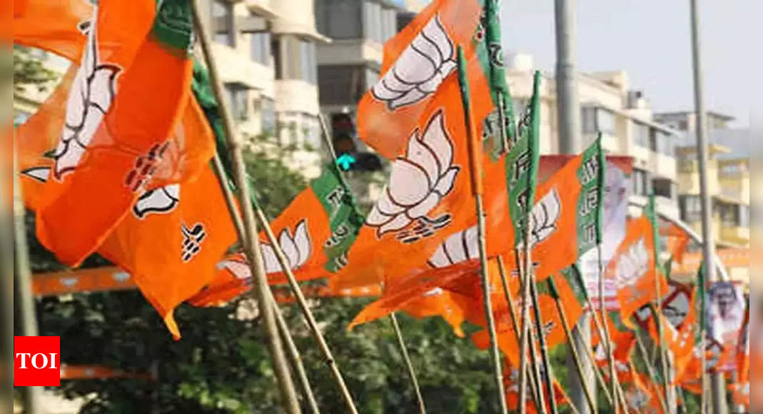 BJP Introduces Fresh Faces in Final Rajasthan Lists