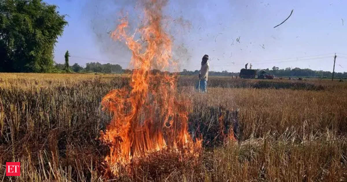 Supreme Court Directs States to Immediately Stop Stubble Burning in Delhi-NCR Region