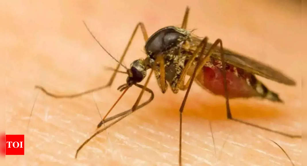 No Outbreak of Zika Virus in Bengaluru, All Samples Test Negative