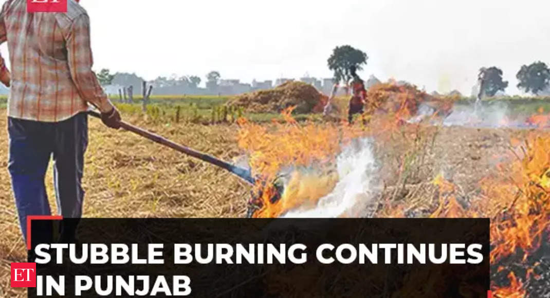 Air Pollution: Stubble burning continues in Punjab unabated as Delhi chokes