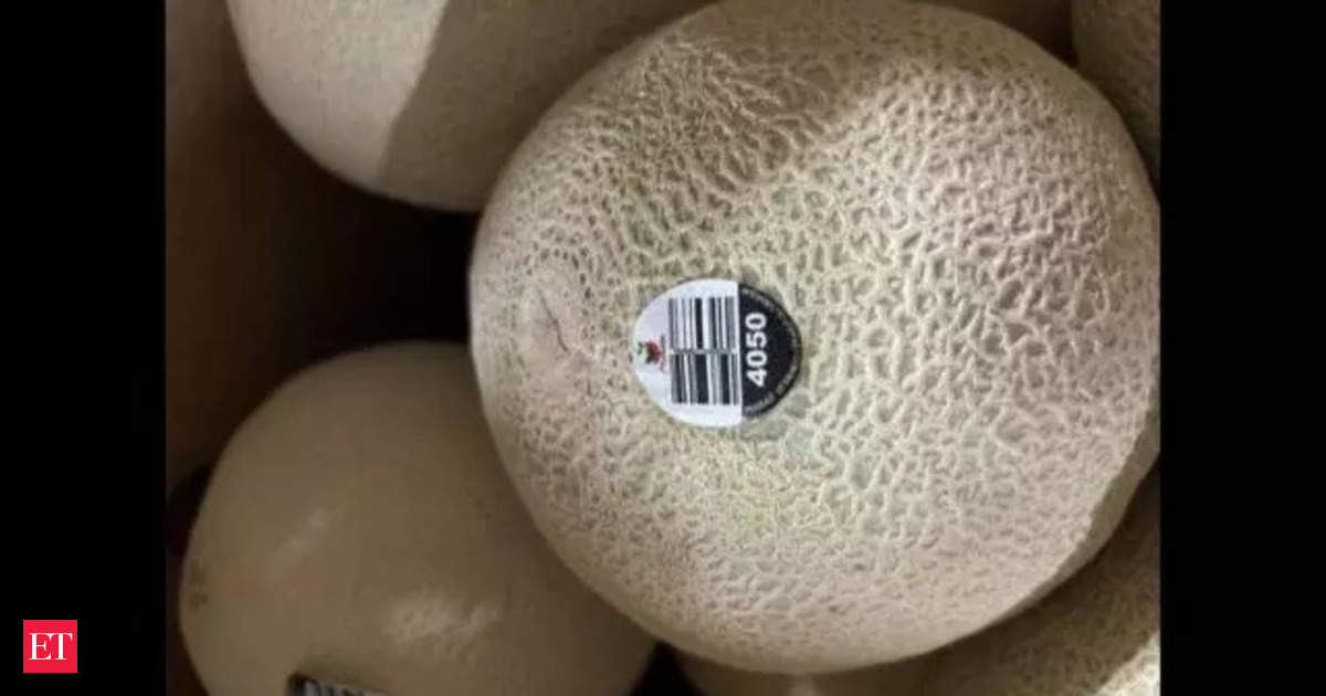 Cantaloupes Recalled in Several US States Over Salmonella Contamination