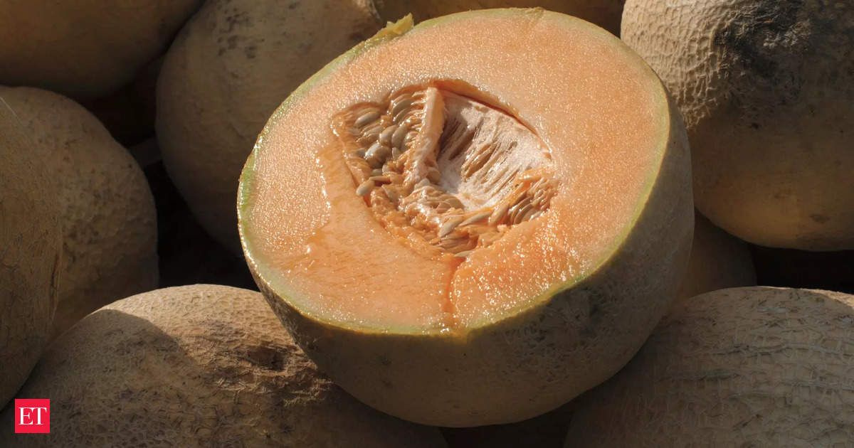 CDC Reports Fatalities and Illnesses Linked to Cantaloupe Salmonella Outbreak