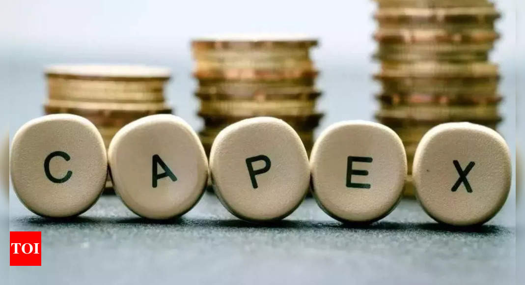 Current level of capex sustainable, says finance secretary