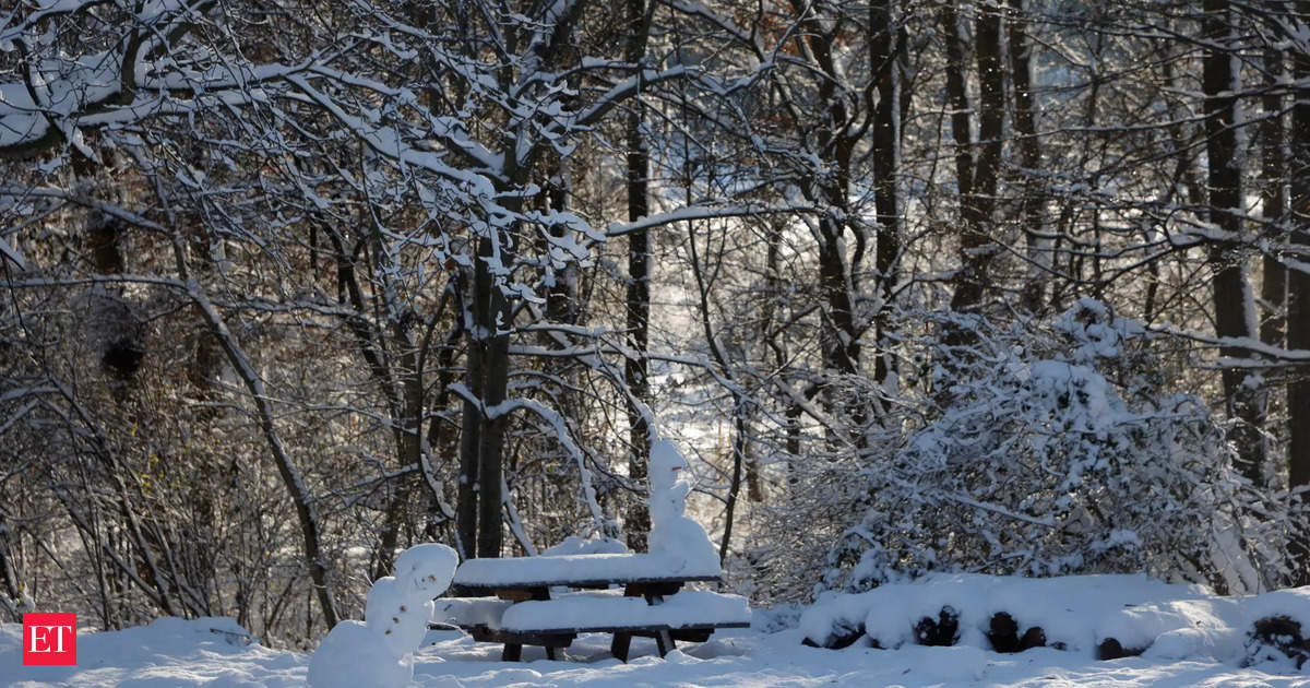 Snowfall and Heavy Rains Expected in US, Flooding Risk in Pacific Northwest