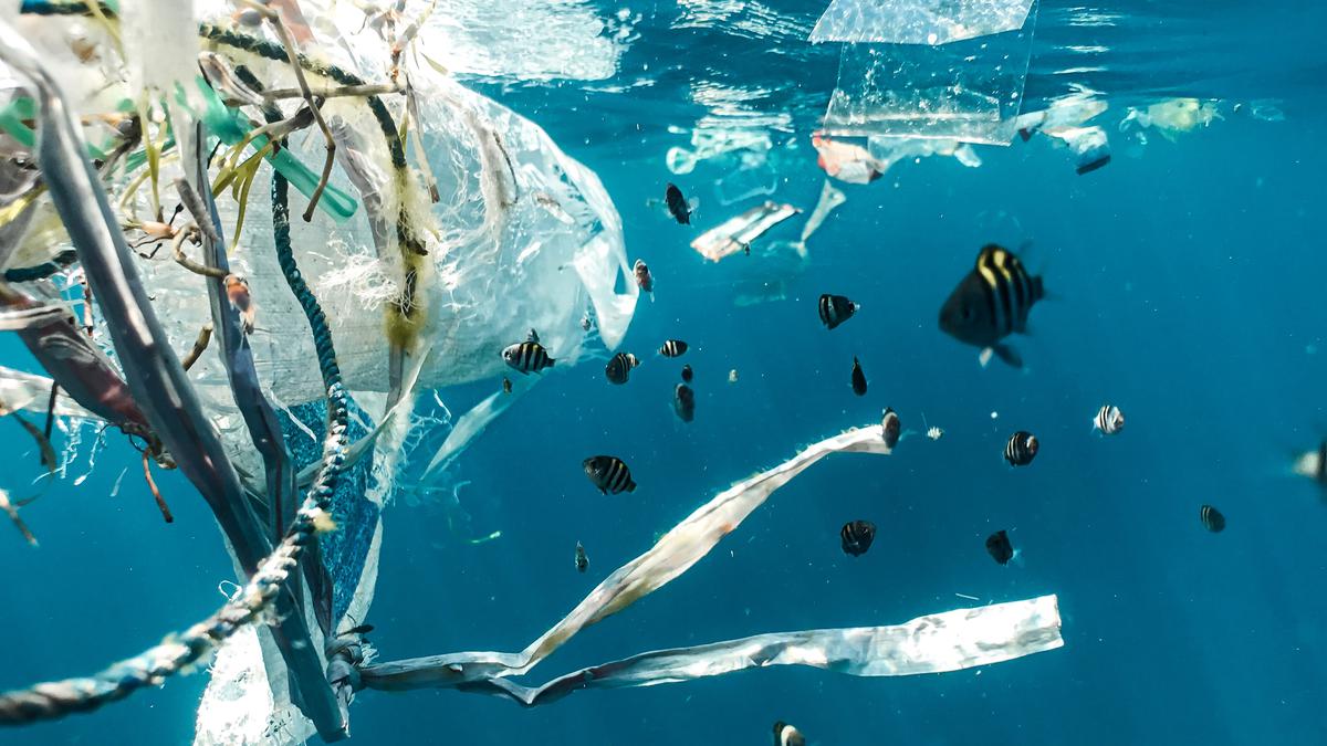 INC-3 Meeting on Plastic Pollution Treaty: Industry Pressure Explained