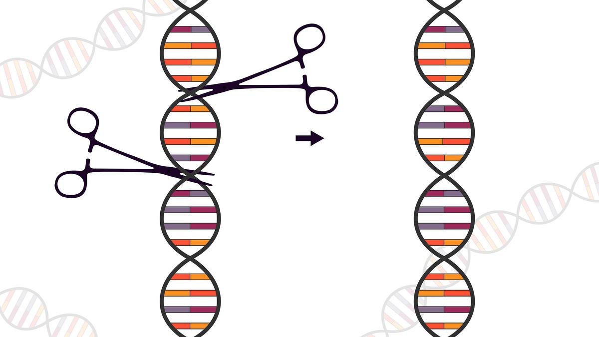 CRISPR-Casgevy: Exploring the Potential of Genetic Therapies for Sickle-Cell Disease