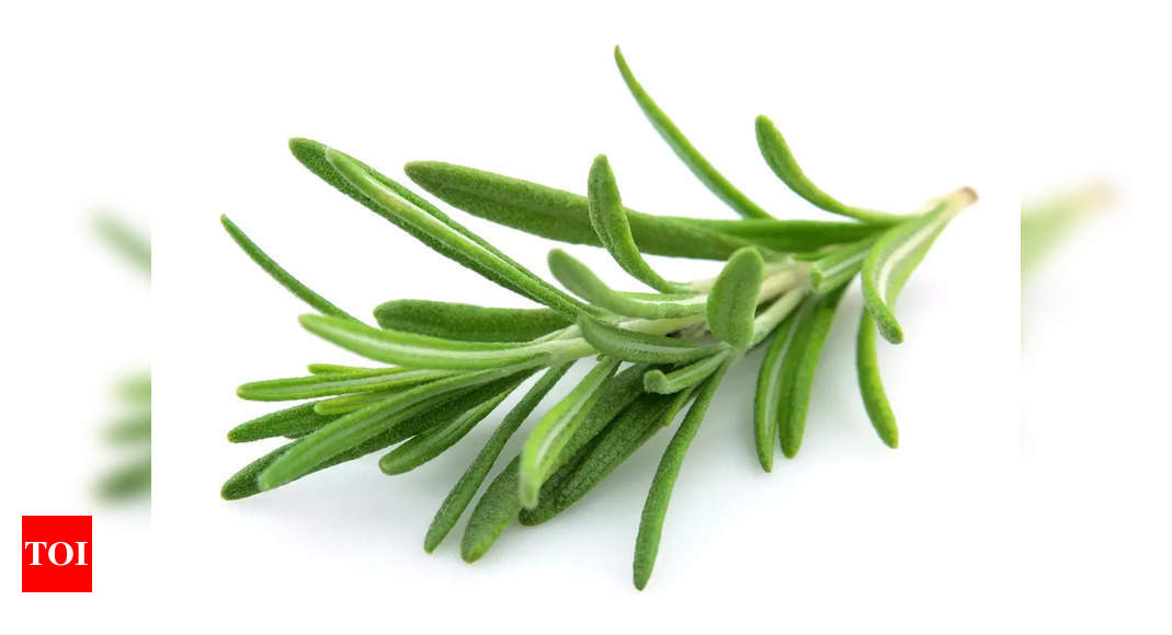 10 Ways of Using Rosemary for Hair