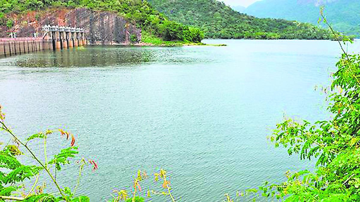 Water level in Papanasam Dam reaches 14,215 feet