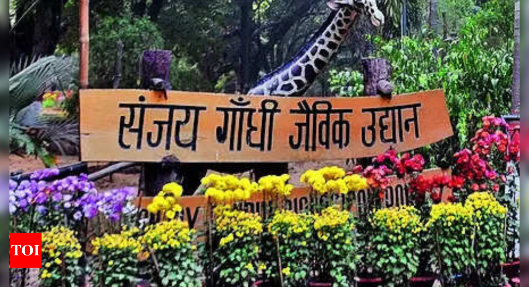 All set for New Year: Zoo, Bihar Museum to remain open on Jan 1