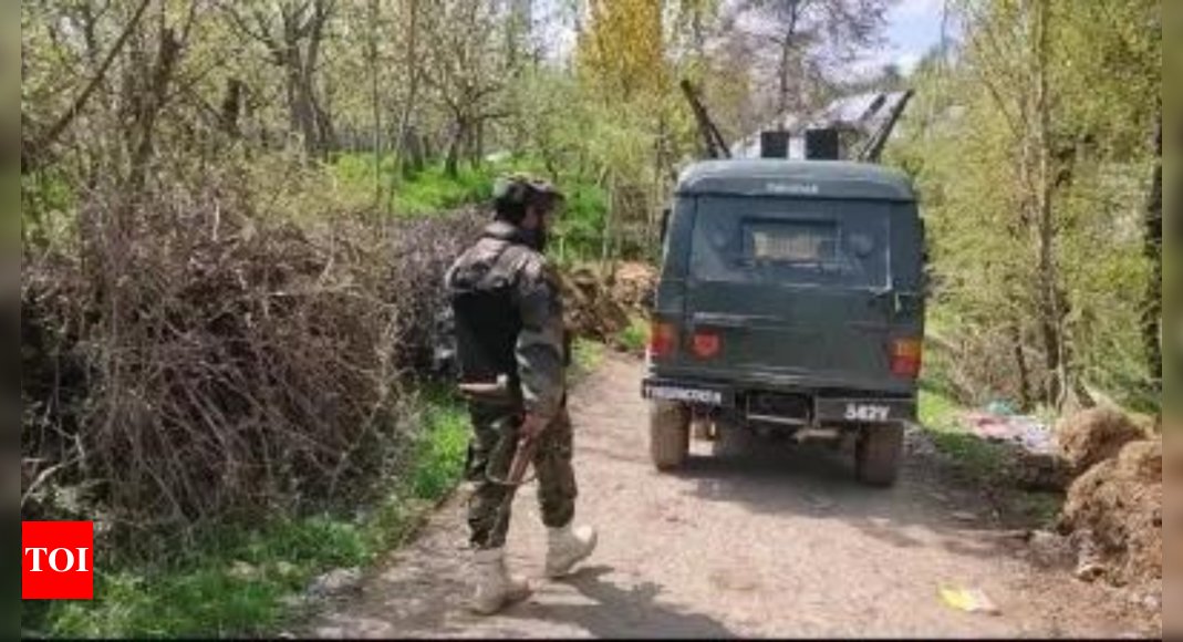 Lashkar-e-Toiba terrorist involved in series of killings gunned down in Shopian