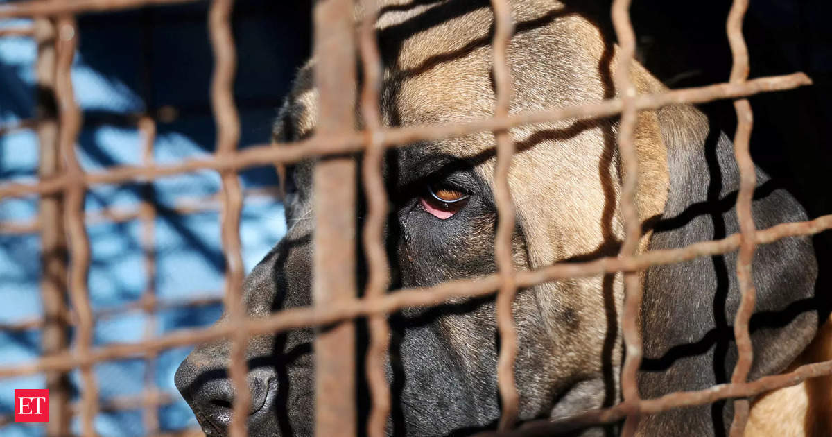 South Korea’s Parliament Passes Bill Banning Dog Meat Trade