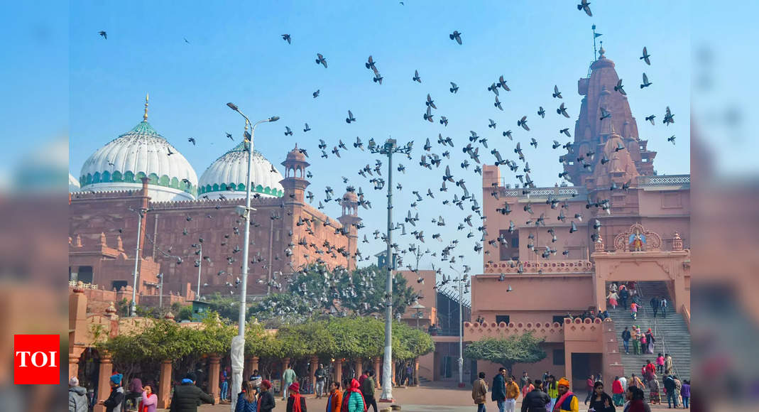 Allahabad High Court sets date for hearing plea challenging suit seeking removal of Shahi Idgah mosque in Mathura