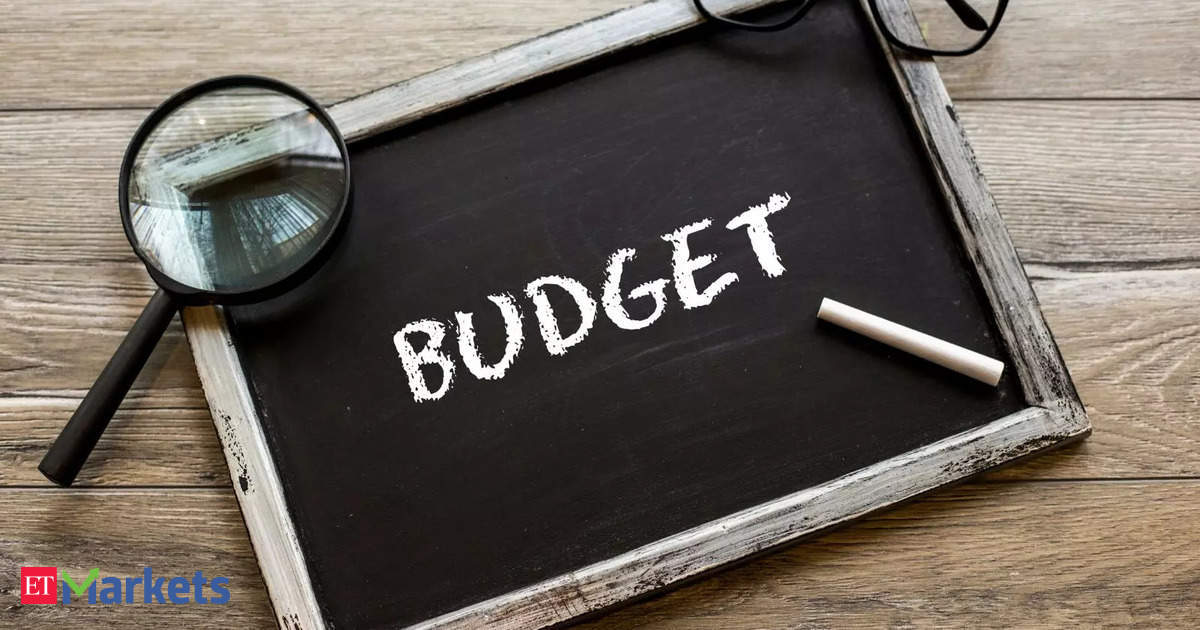 Budget Picks: Top 4 Stocks to Buy Ahead of Interim Budget 2024 That Could Give 10-20% Return