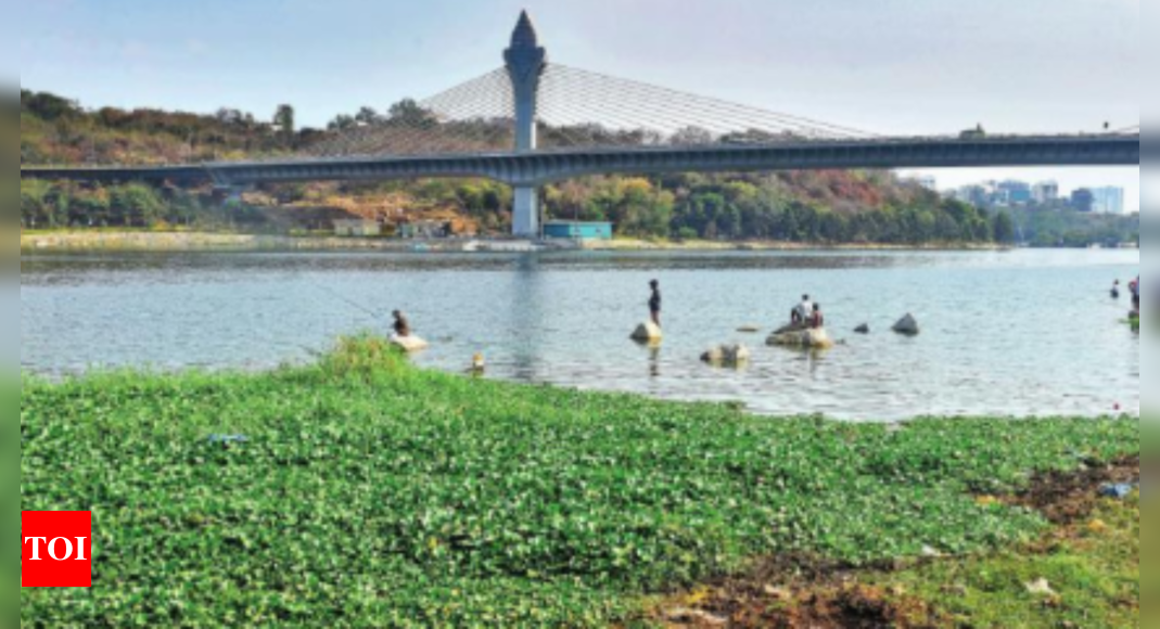 Toxic Threat to Durgam Cheruvu’s Ecosystem