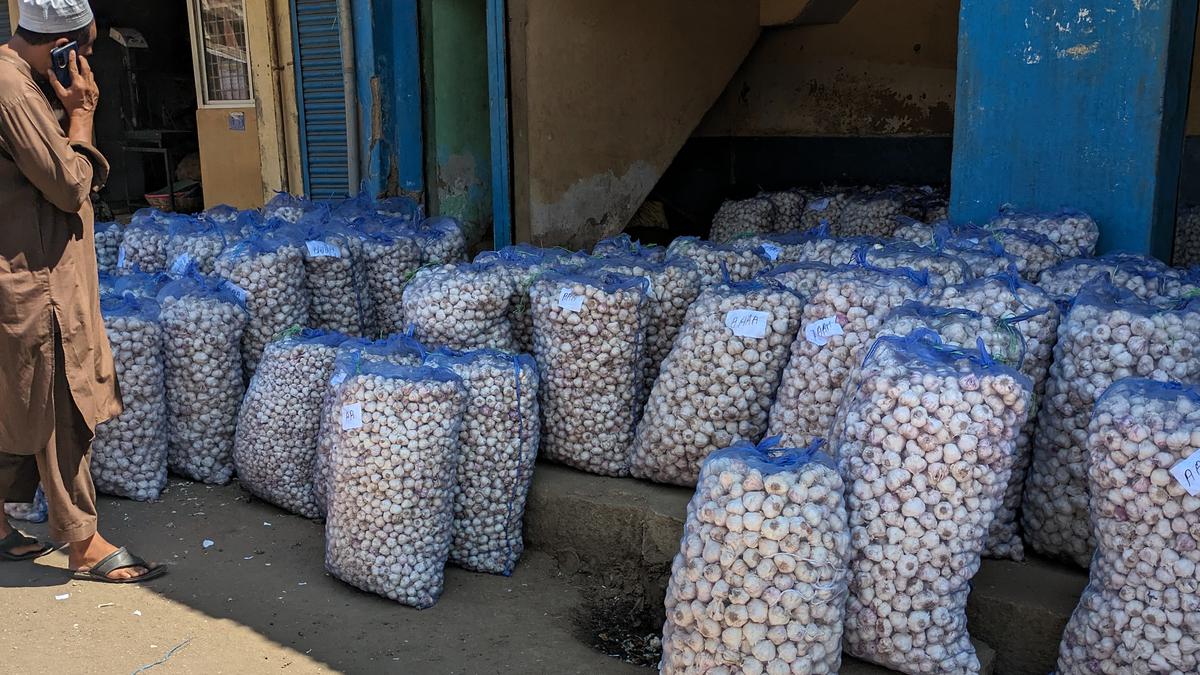 Garlic Prices Shoot Up to ₹500 for a Kilo in Bengaluru