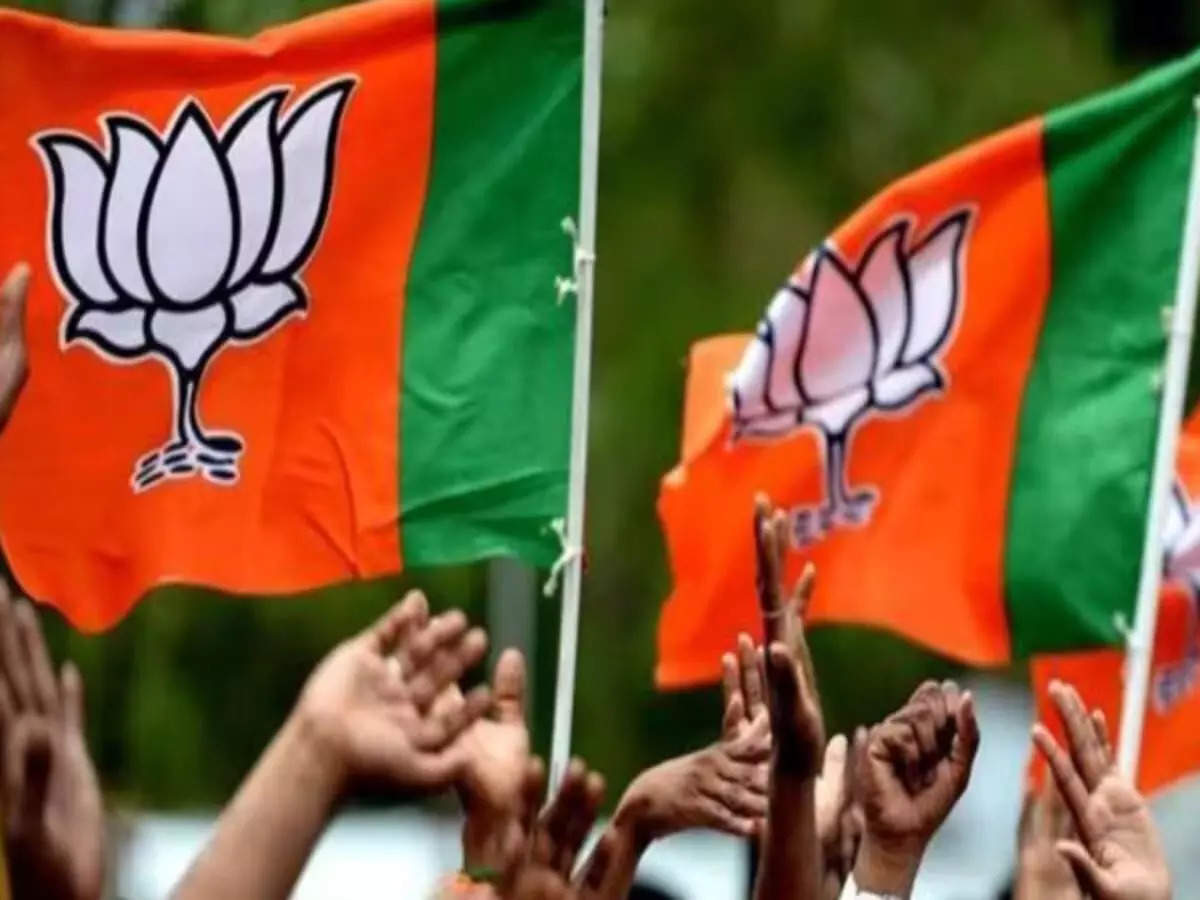 Rajya Sabha Elections: BJP Names Two Candidates from Rajasthan Ahead of Feb 27 Polls