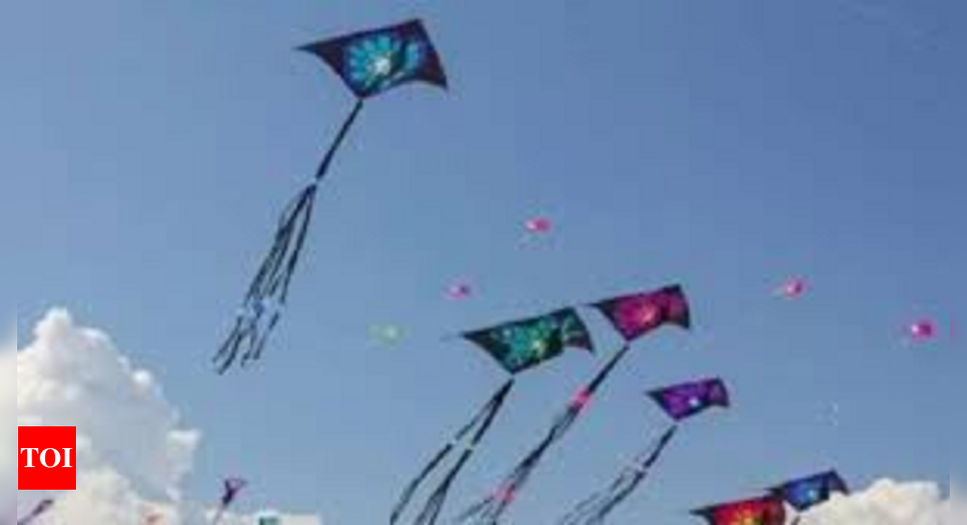 Farmers Use Kites to Bring Down Drones, Delhi Police on Alert