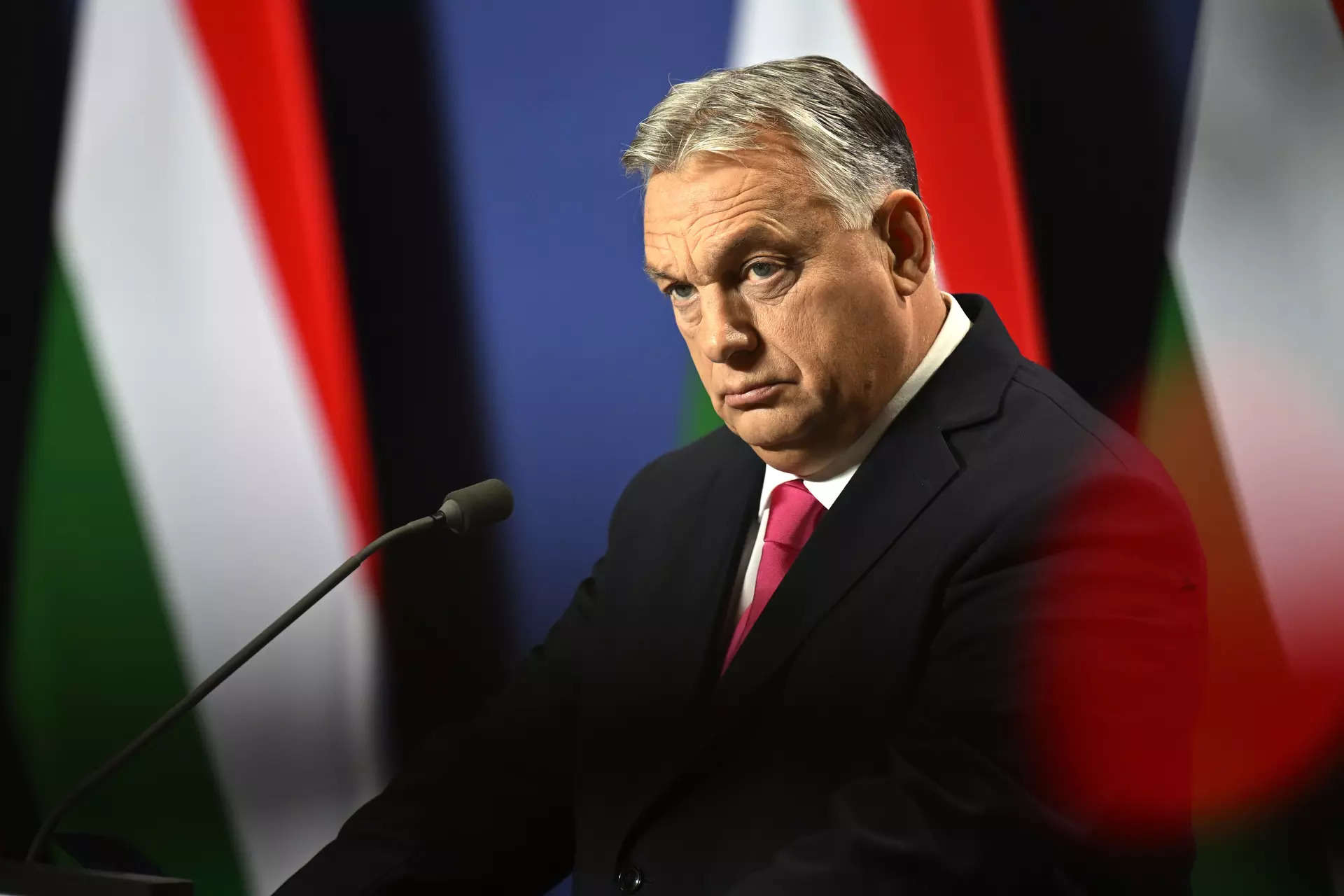 China Offers to Back Hungary in Security Matters