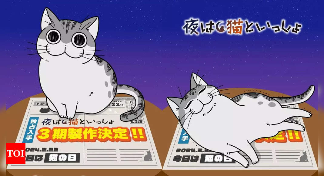 Nights with a Cat Anime Returns for Season 3