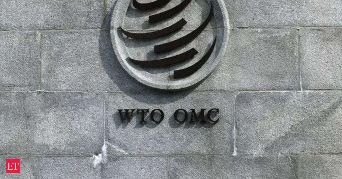 India and South Africa Block China-Led Investment Facilitation Pact at the WTO