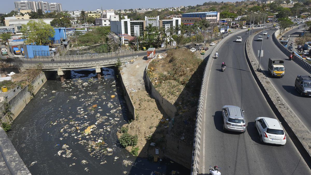 Bengaluru Water Crisis: The Parched IT Capital of India