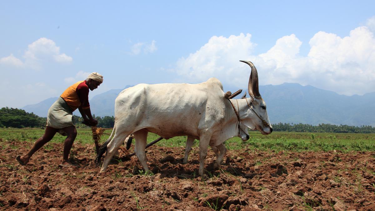 Academic Paper Warns Against Nationwide Switch to Natural Farming Without Proper Studies